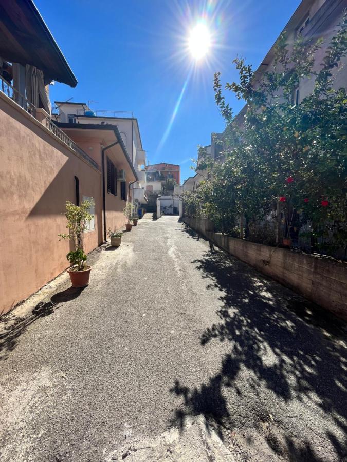 B&B Nonna Viola Palizzi Marina 외부 사진